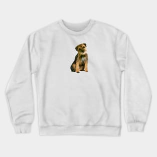 A Border Terrier - Just the Dog. Crewneck Sweatshirt